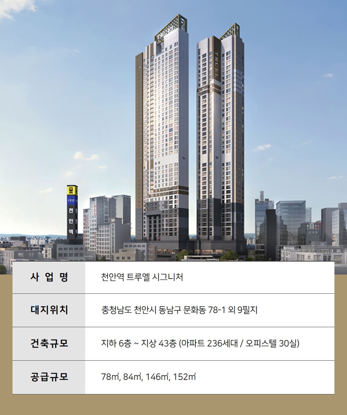 사업안내
